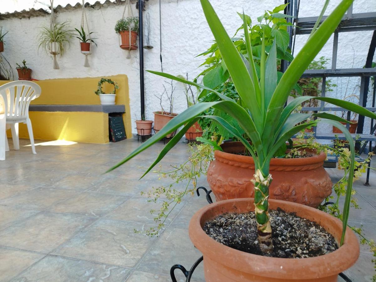 Voulas Guest House Golos Dış mekan fotoğraf