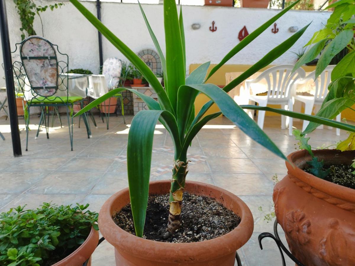 Voulas Guest House Golos Dış mekan fotoğraf